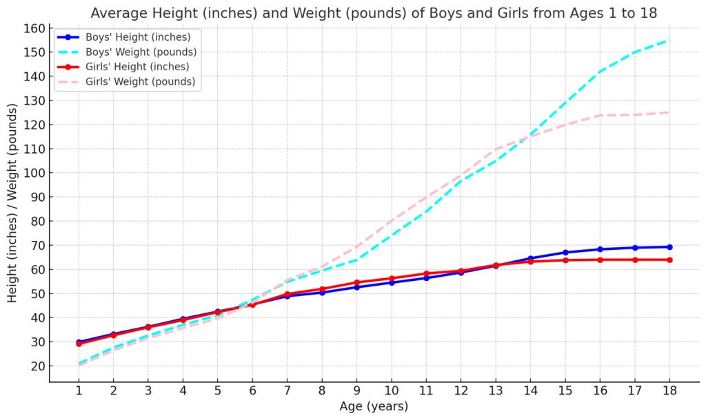 Average Height for a 14 Year Old Boy & Girl? (Age 110,11,12,13,14
