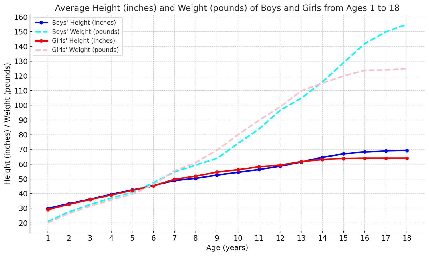 Average Height For A 14 Year Old Boy Girl Age 1 10 11 12 13 14 