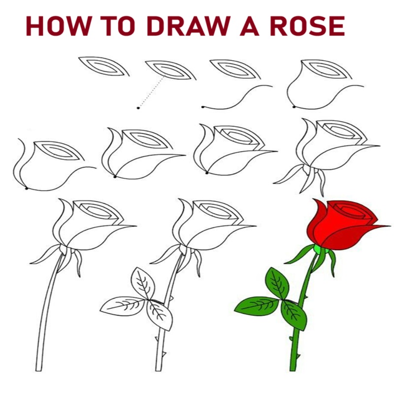 how to draw a rose easy