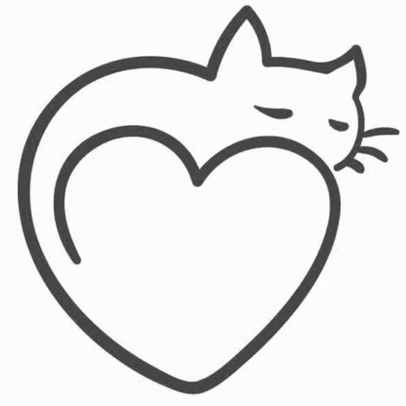 simple cute easy drawings cat