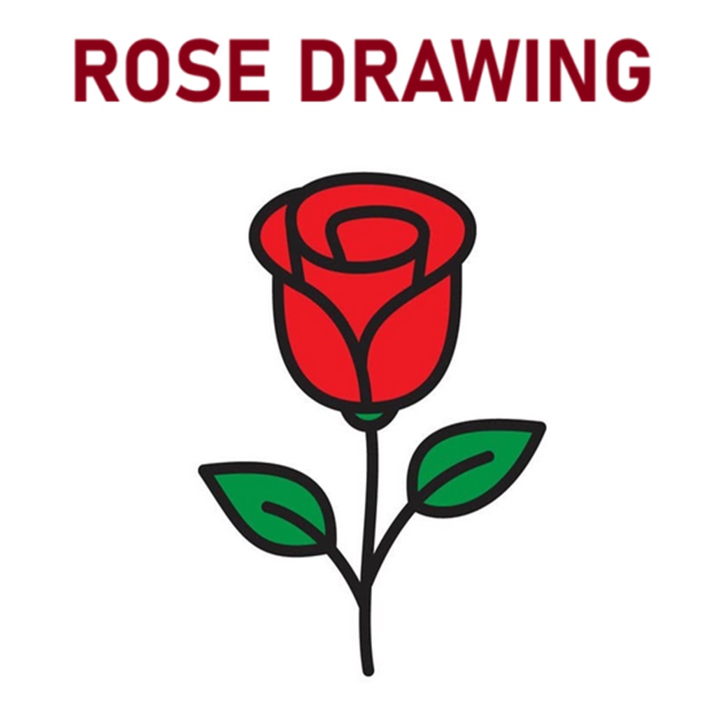 simple rose drawing